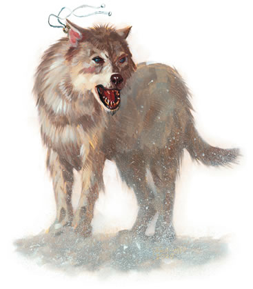 http://wiki.aerie.ru/images/6/69/Winterwolf.jpg