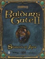 Baldur's Gate II Shadows of Amn.jpg