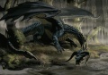 Black dragon.jpg