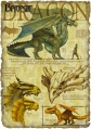 Bronze dragon.jpg